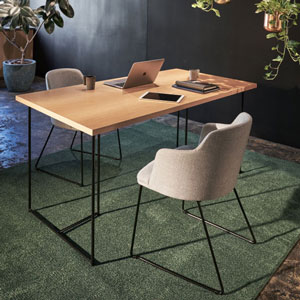 ルセッティイス