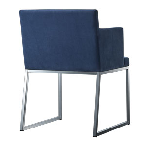 レックスアームイス