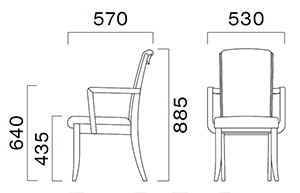 プロテアWサイズ