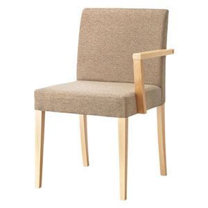 リーブル左アームイスⅡA