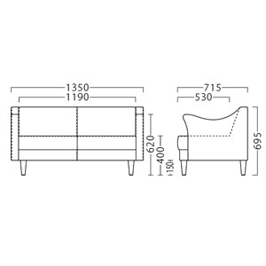 ジーニーA 2Pサイズ