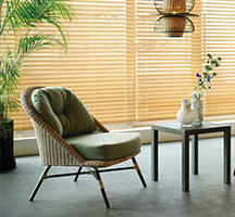 カンブリス(既製品)